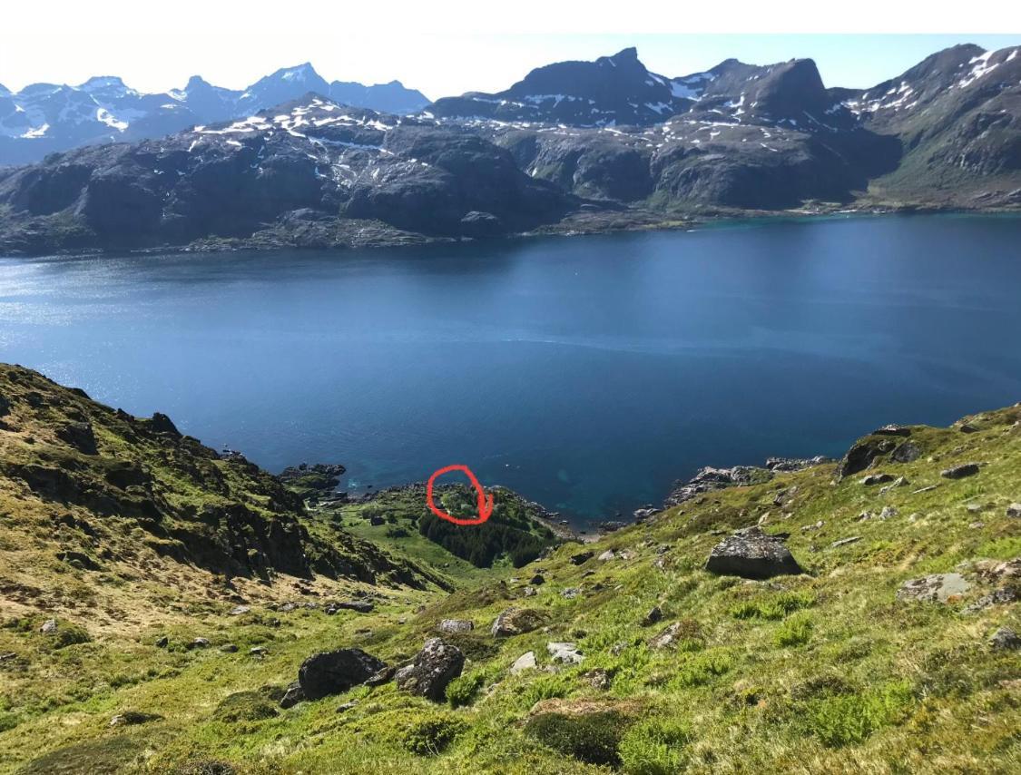 Vettinghytta, Close To The Sea With Amazing View. Gravdal  Exteriör bild