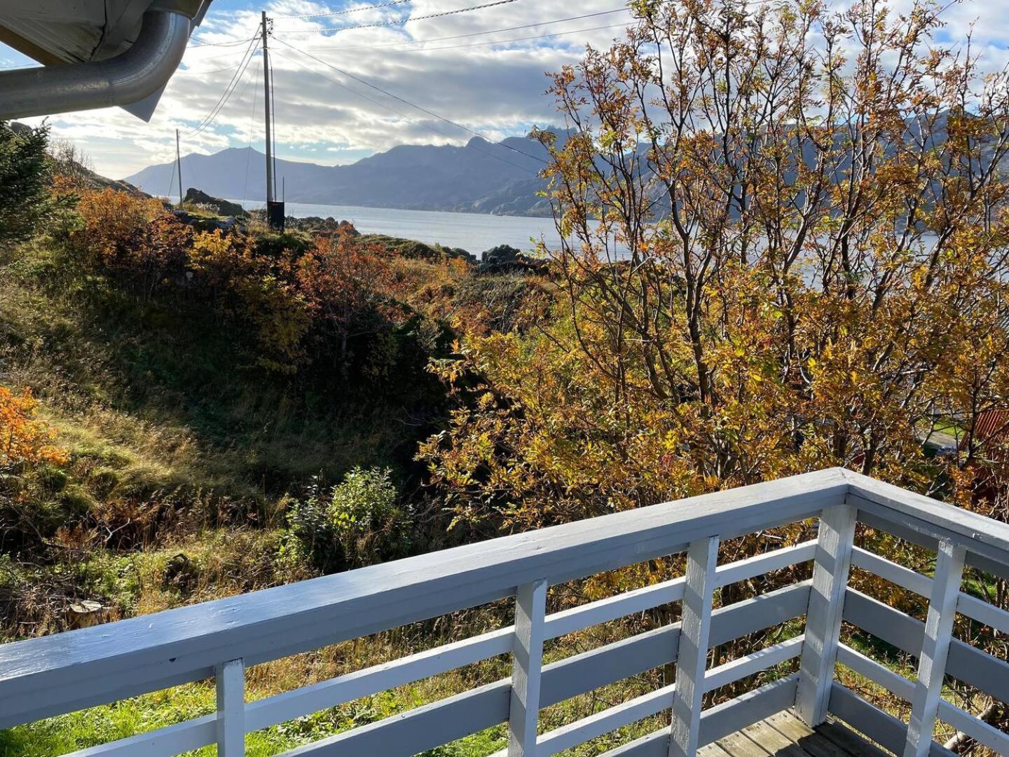 Vettinghytta, Close To The Sea With Amazing View. Gravdal  Exteriör bild