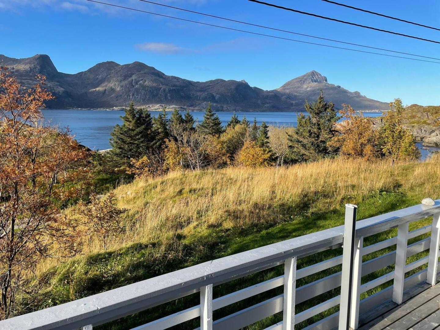 Vettinghytta, Close To The Sea With Amazing View. Gravdal  Exteriör bild