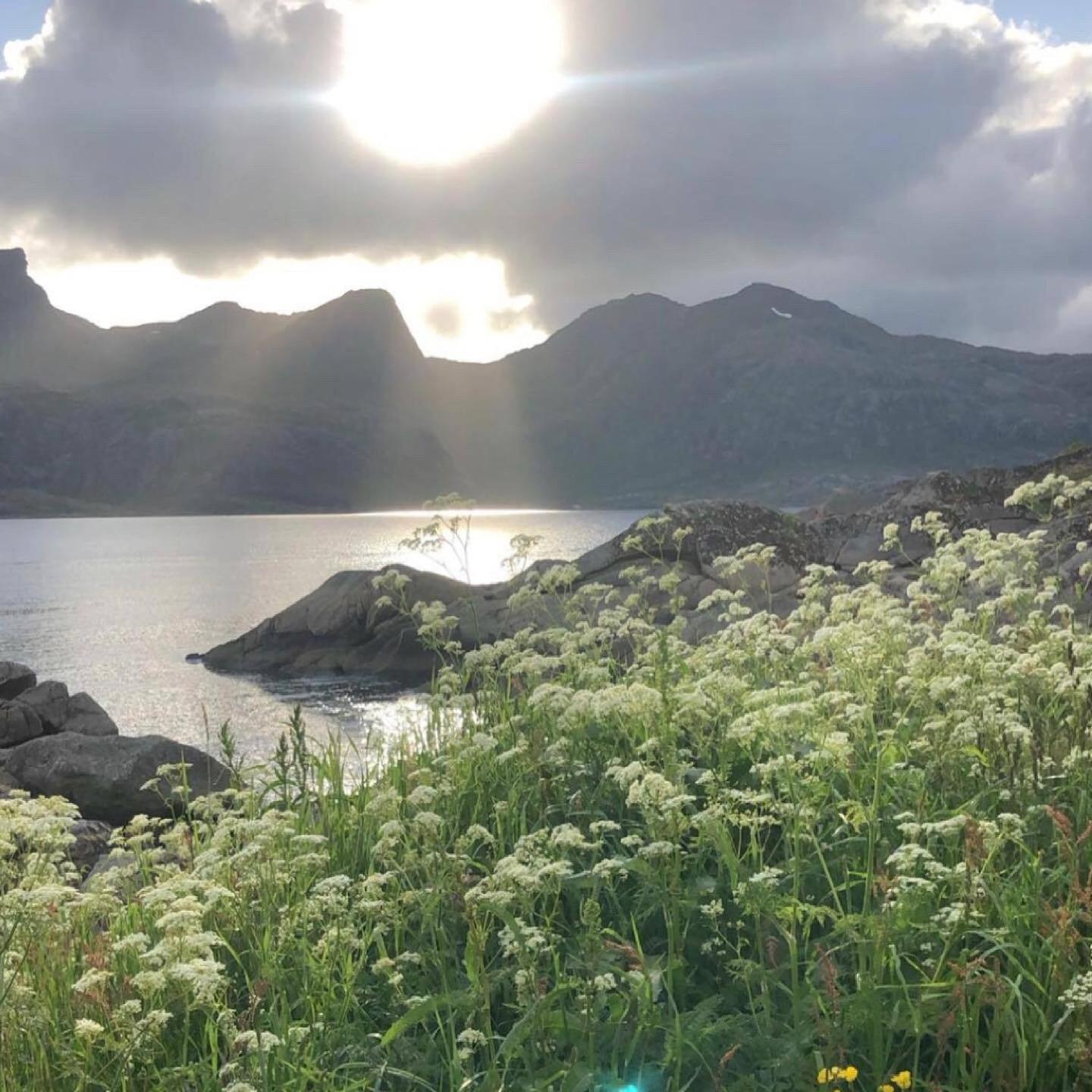 Vettinghytta, Close To The Sea With Amazing View. Gravdal  Exteriör bild